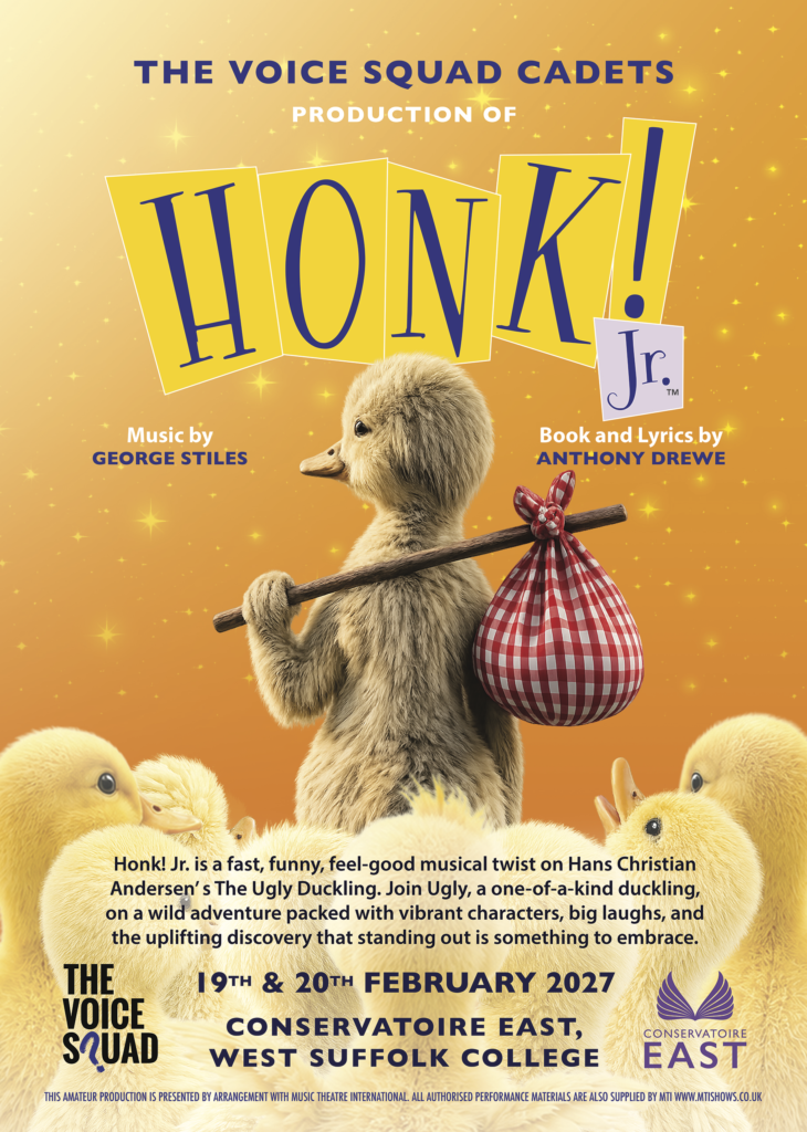 Honk VS Corner Sky programme A5 3mm bleed-1